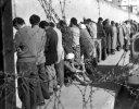 Des Algériens arrêtés par l'armée française